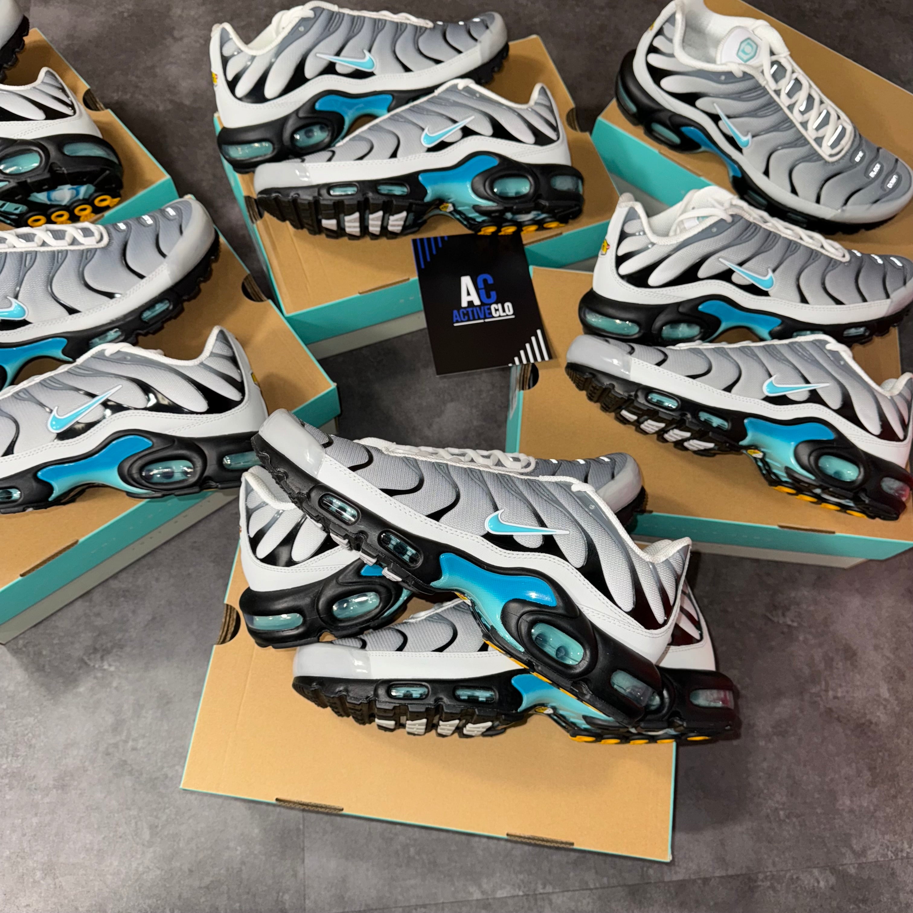 Nike Air max Plus TN One Block Down