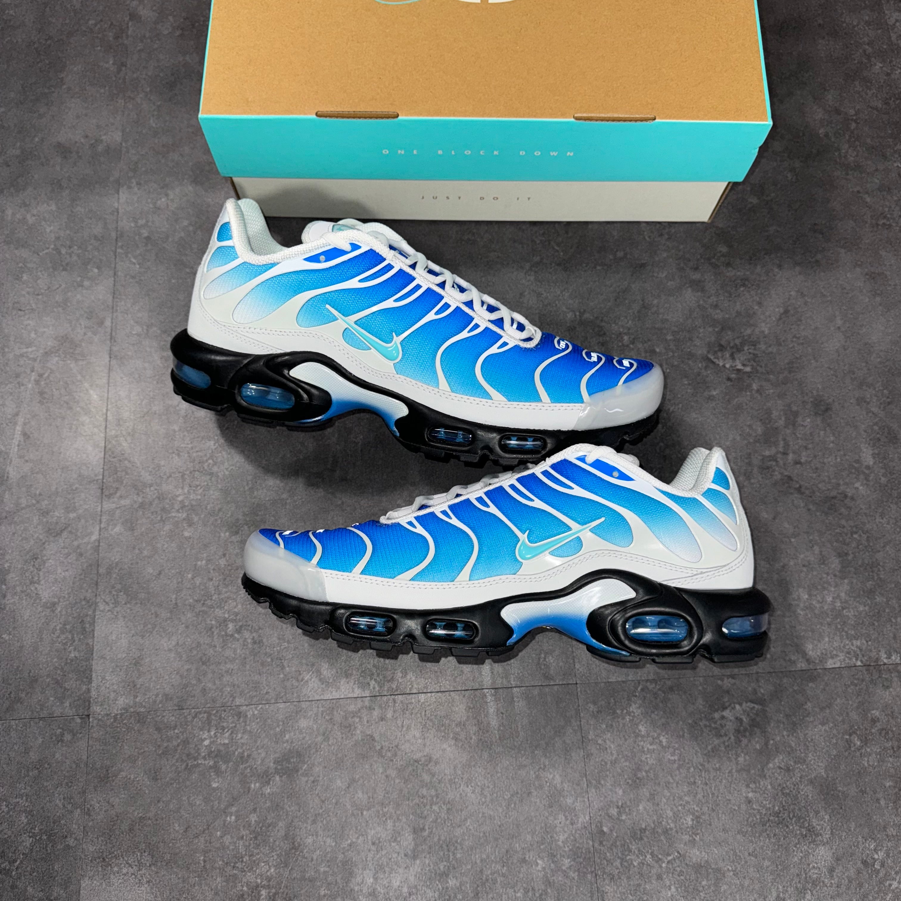 Nike Air MAx Plus TN OBD